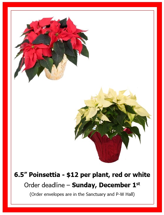 2024 Poinsettia Plants flyer.jpg